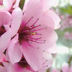 Meet your Posher, Zaheda